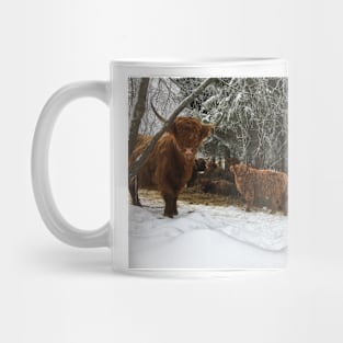 Scottish Highland Cattle Cows and Calves 1871 Mug